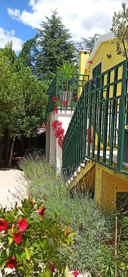 Apartments Vukovic Stari Grad  Luaran gambar