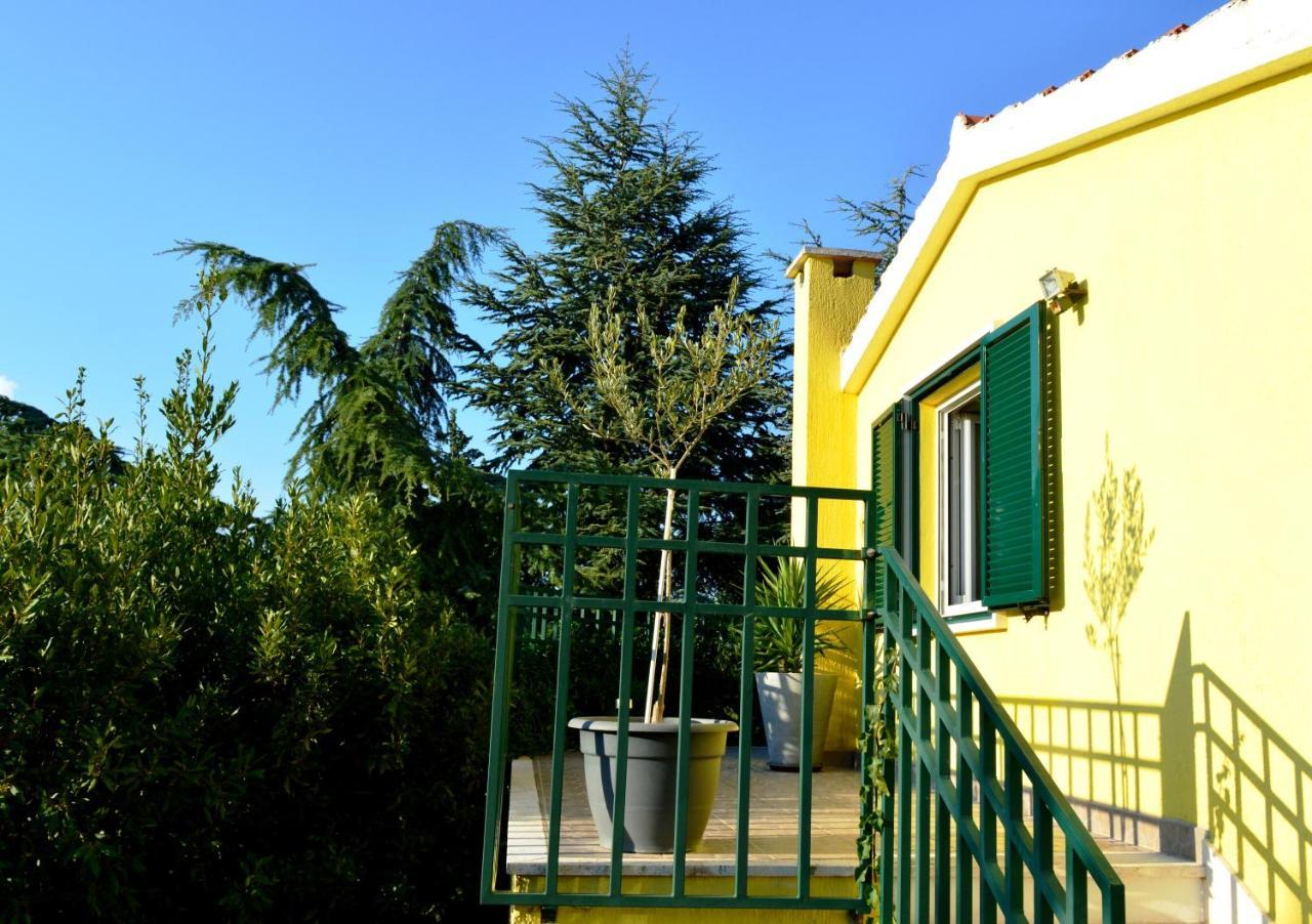 Apartments Vukovic Stari Grad  Luaran gambar